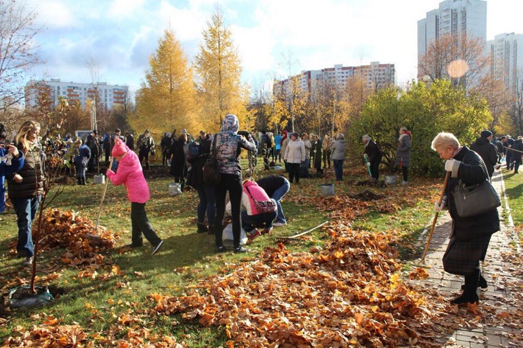 В субботу, 27 октября 2018 года на территории ДГКБ им. З.А.Башляевой состоялся субботник и посадка фруктовых деревьев «Аллея дружбы, здоровья и безопасности»