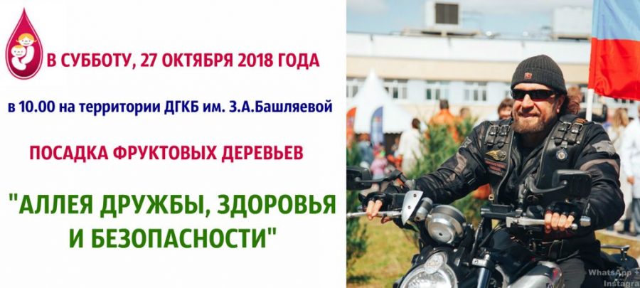 alleya-drujbi-zdorovya-i-bezopasnosti посадка фруктовых деревьев «Аллея дружбы, здоровья и безопасности»