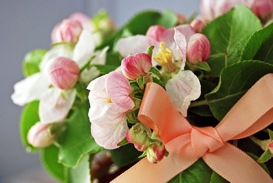 rozovaya-lenta акция "Розовая ленточка"