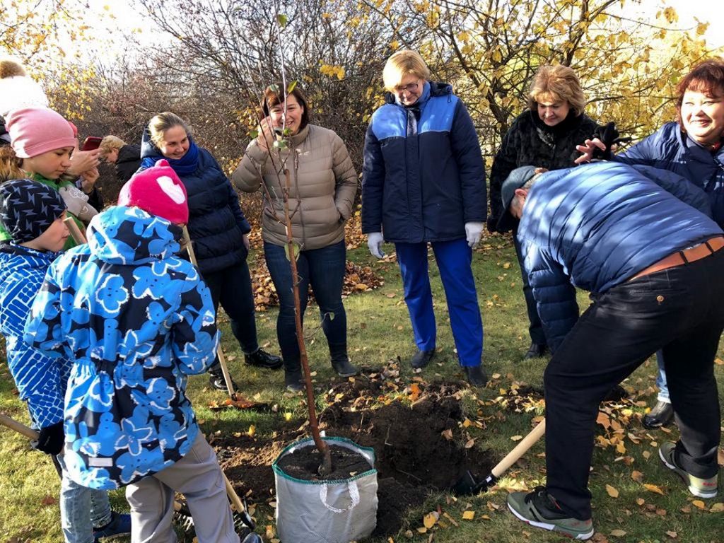 В субботу, 27 октября 2018 года на территории ДГКБ им. З.А.Башляевой состоялся субботник и посадка фруктовых деревьев «Аллея дружбы, здоровья и безопасности»