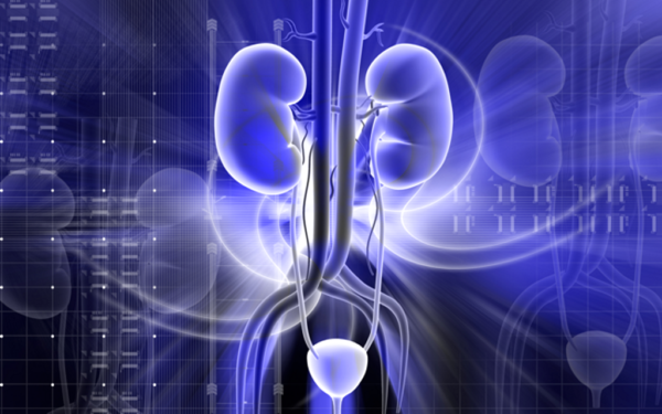 вебинар на тему "Инфекция мочевой системы"