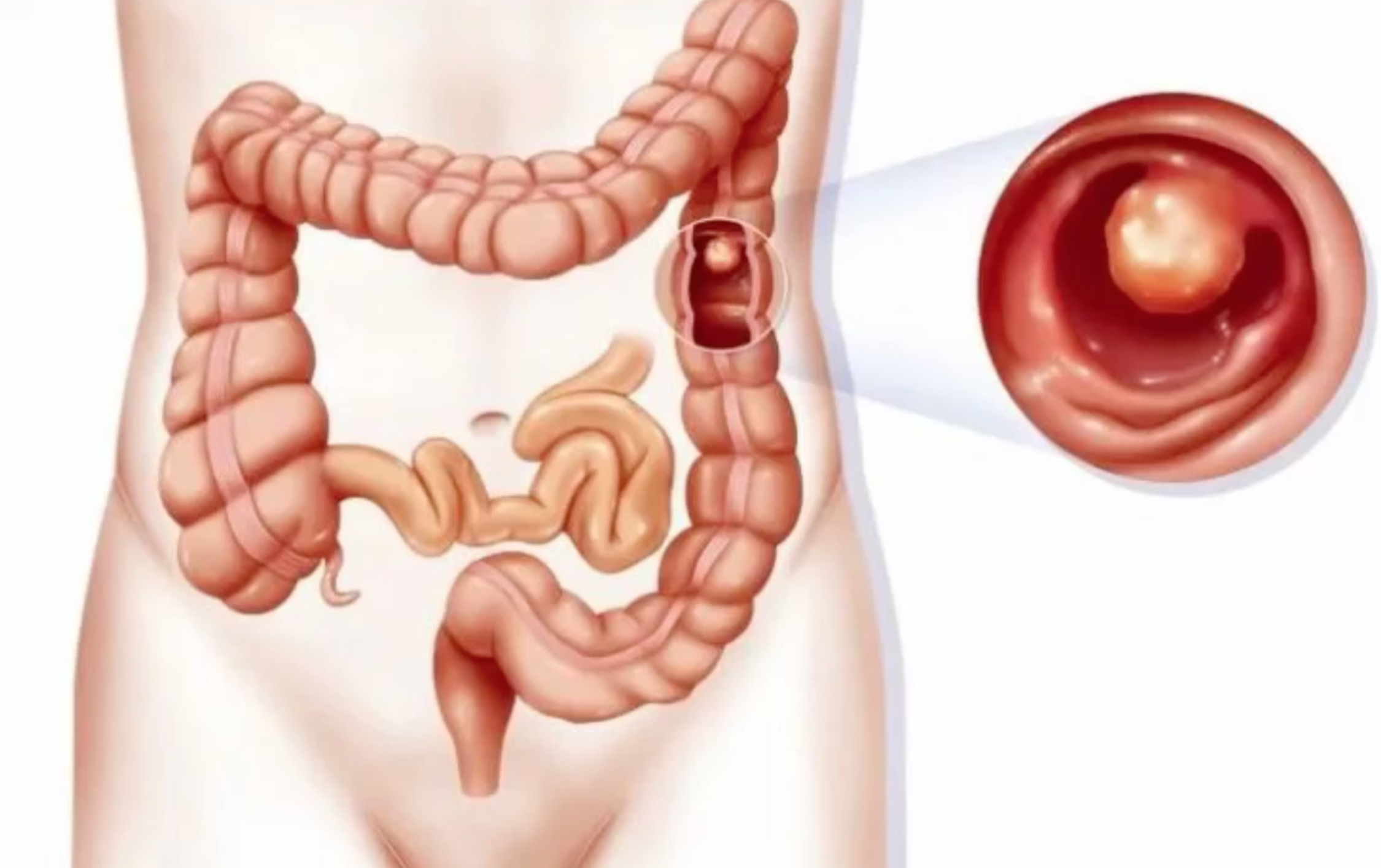 Снимок экрана 2020-08-10 в 12.13.45