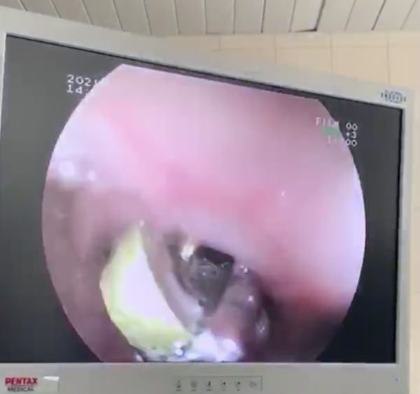 Снимок экрана 2021-03-23 в 11.47.50