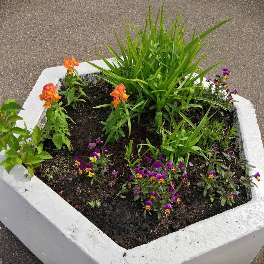 В нашей больнице в международный день защиты детей был объявлен конкурс среди отделений больницы на лучшую клумбу. В данном необычном мероприятии приняли активное участие все подразделения больницы.