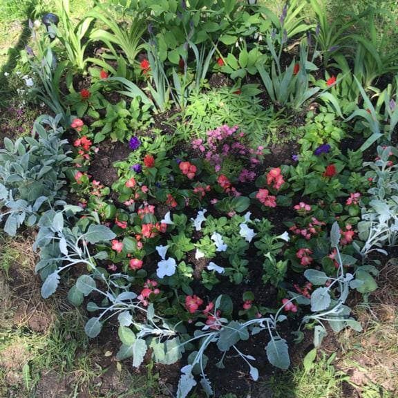 В нашей больнице в международный день защиты детей был объявлен конкурс среди отделений больницы на лучшую клумбу. В данном необычном мероприятии приняли активное участие все подразделения больницы.