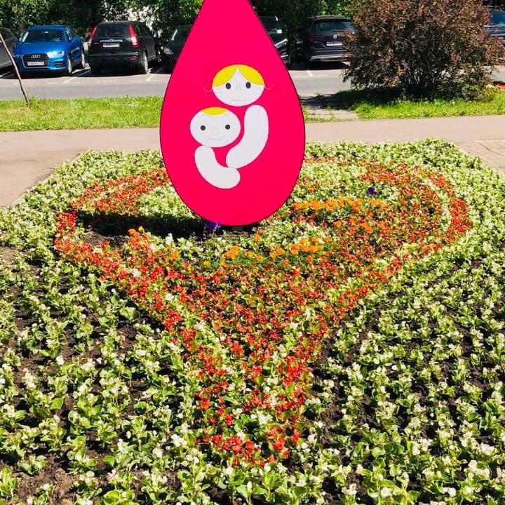 В нашей больнице в международный день защиты детей был объявлен конкурс среди отделений больницы на лучшую клумбу. В данном необычном мероприятии приняли активное участие все подразделения больницы.