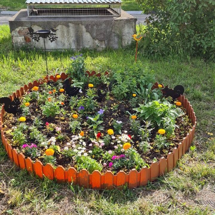 В нашей больнице в международный день защиты детей был объявлен конкурс среди отделений больницы на лучшую клумбу. В данном необычном мероприятии приняли активное участие все подразделения больницы.