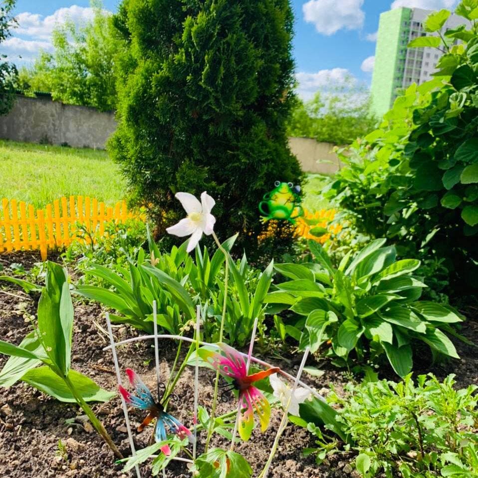В нашей больнице в международный день защиты детей был объявлен конкурс среди отделений больницы на лучшую клумбу. В данном необычном мероприятии приняли активное участие все подразделения больницы.