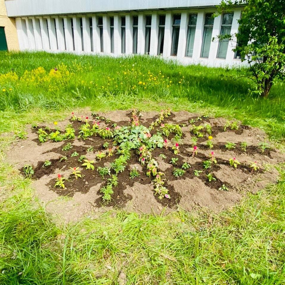 В нашей больнице в международный день защиты детей был объявлен конкурс среди отделений больницы на лучшую клумбу. В данном необычном мероприятии приняли активное участие все подразделения больницы.