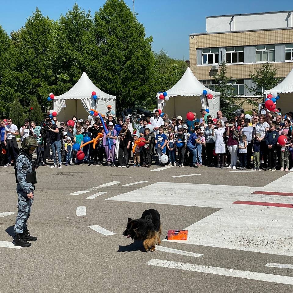 Сегодня в Международный день защиты детей на территории нашей больницы мы провели очередные праздничные мероприятия в рамках V фестиваля «Здоровье и безопасность детей».