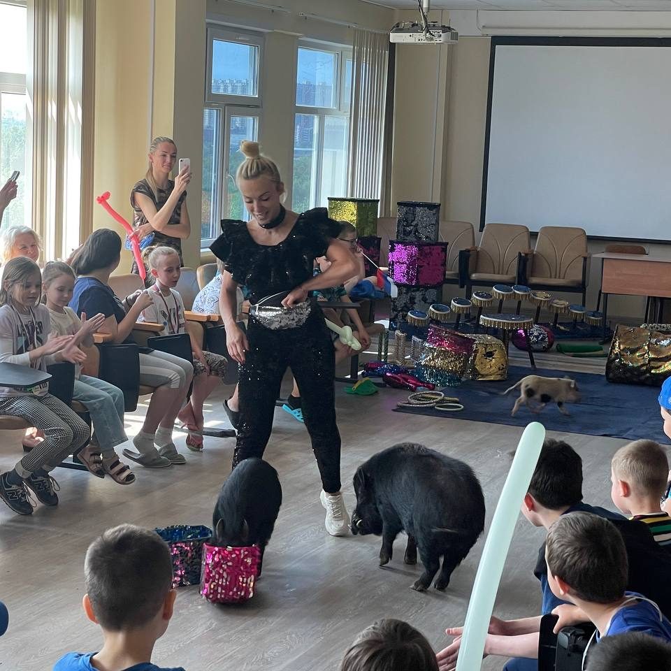 Сегодня в очередной раз мы провели ежегодный VI Фестиваль «Здоровье и безопасность детей»