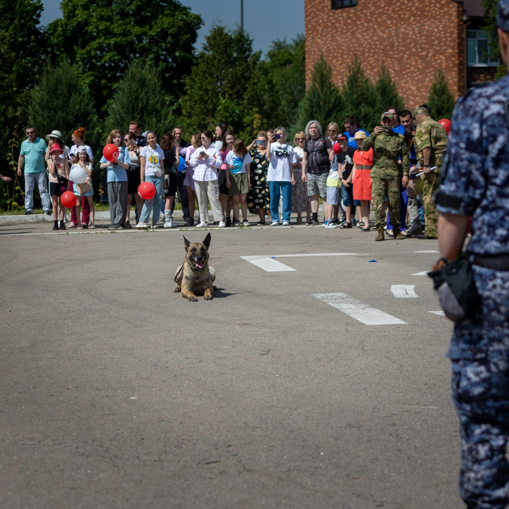 VII фестиваль "Здоровье и безопасность детей" — фоторепортаж