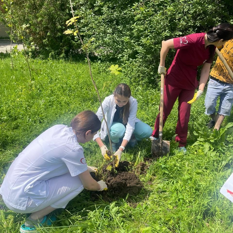Аллея здоровья и молодости ДГКБ им. З.А. Башляевой преобразилась в юбилейный год