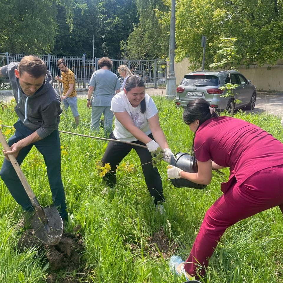 Аллея здоровья и молодости ДГКБ им. З.А. Башляевой преобразилась в юбилейный год