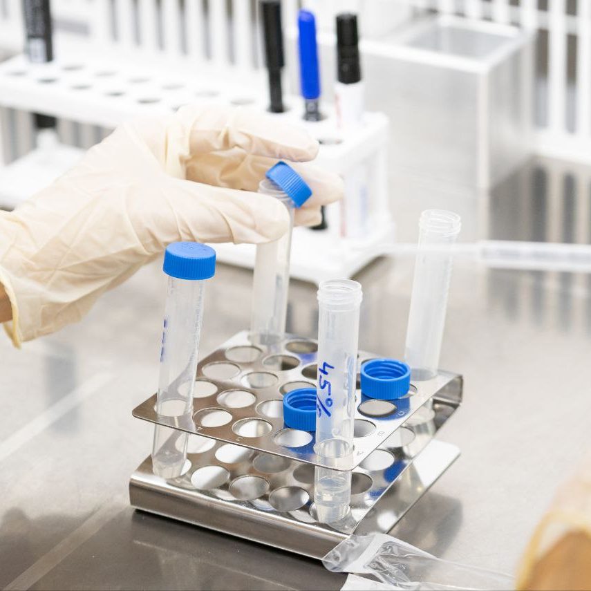 Анастасия Ракова сообщила о росте доступности репродуктивных технологий в столице